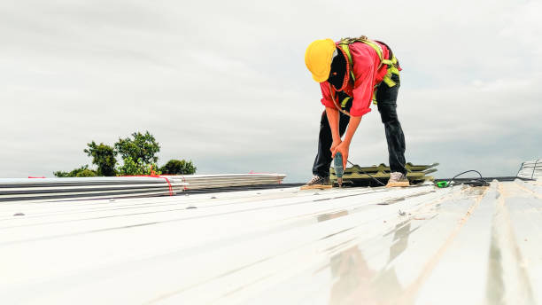 Best Roof Maintenance and Cleaning  in Waukesha, WI